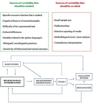 Neural Processing Underlying Executive Functions in Bilinguals: “Heads I Win, Tails You Lose”